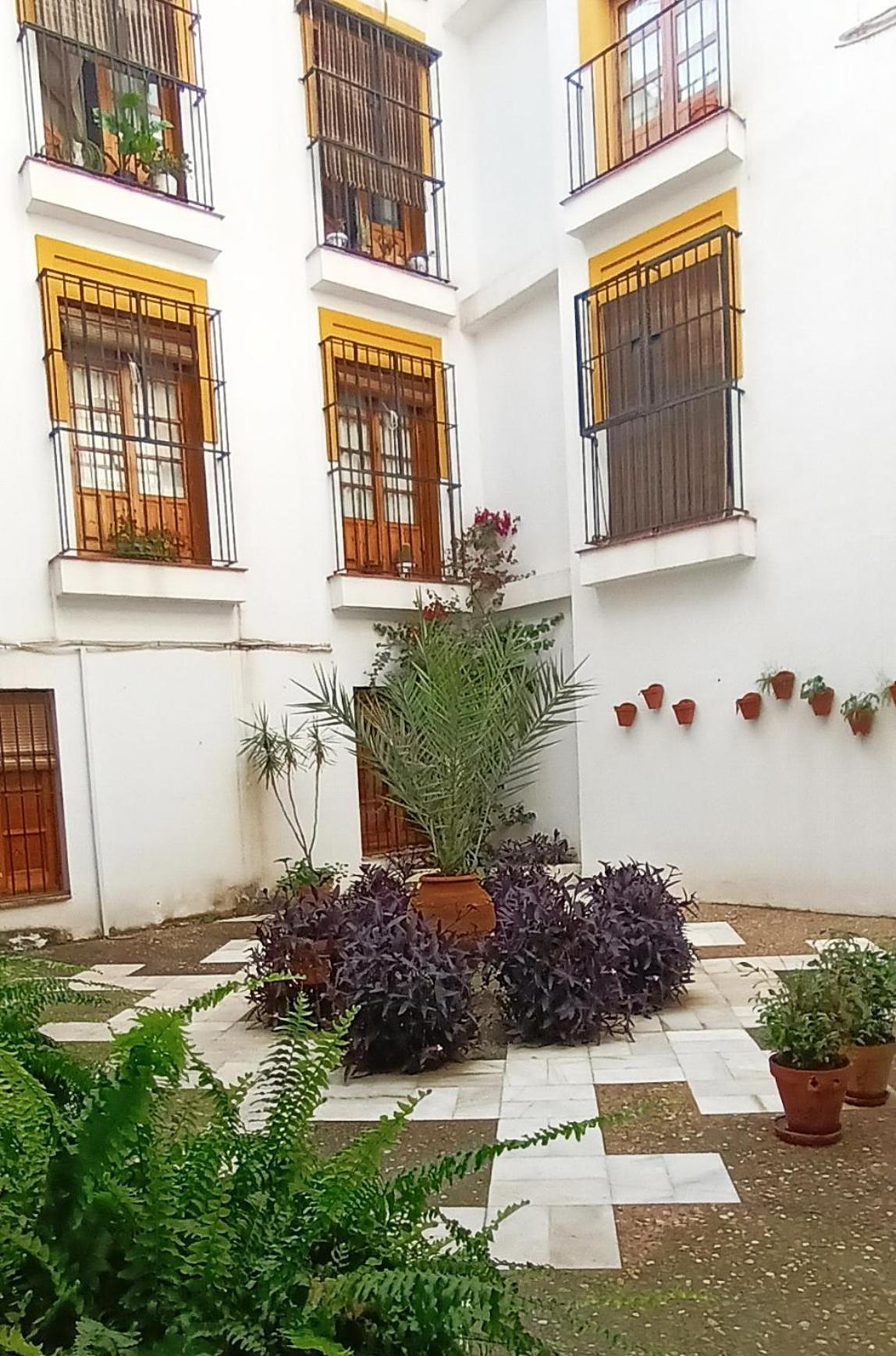Historia Y Tradicion - Sevilla Desde Dentro. المظهر الخارجي الصورة